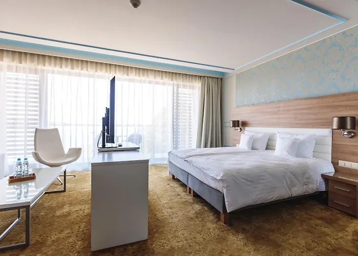 酒店 Antoninska 4*